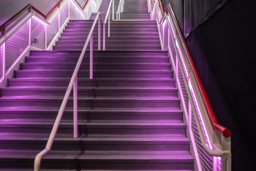 Những bước tinh tế màu hồng