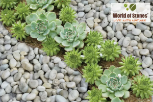 Đá cuội trang trí sân vườn